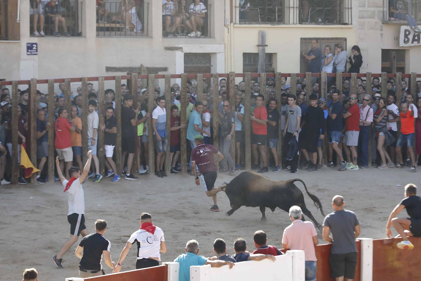 Capea de mañana en la Plaza del Coso de Peñafiel