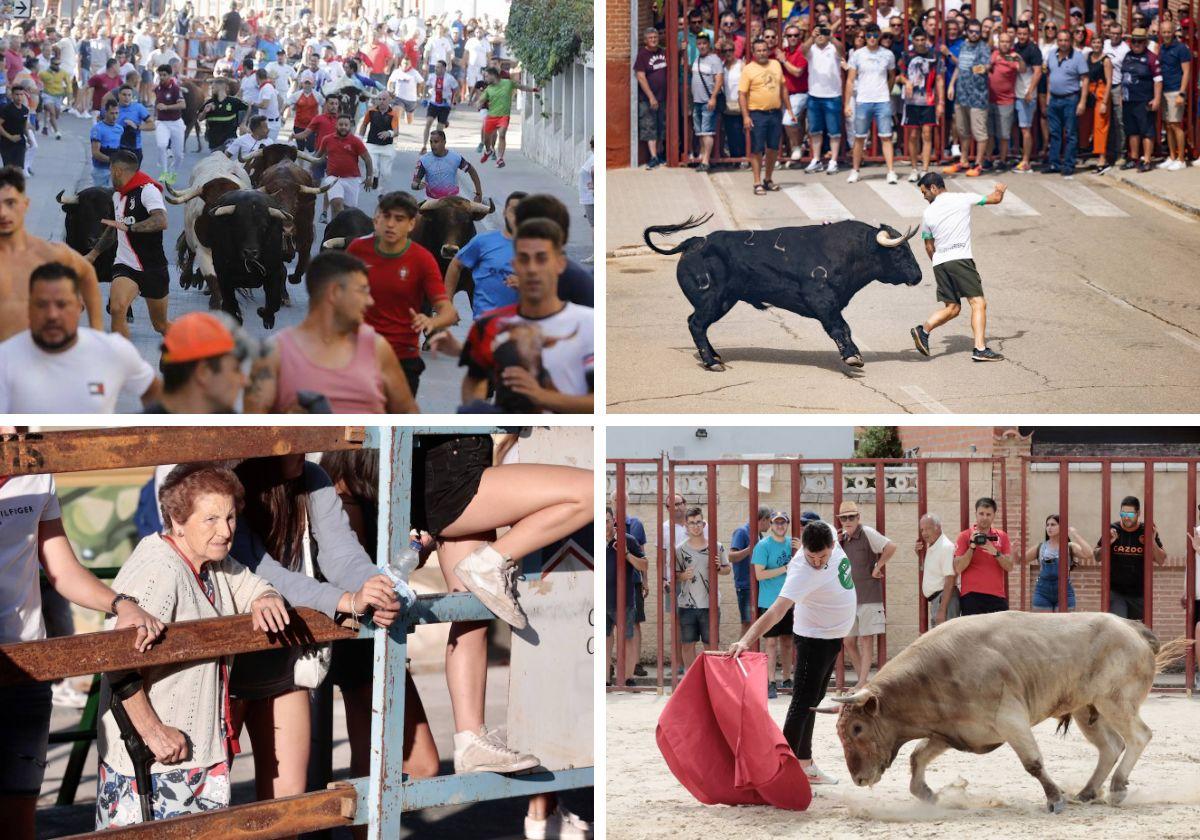 Las imágenes de los festejos taurinos del día en los pueblos de Valladolid