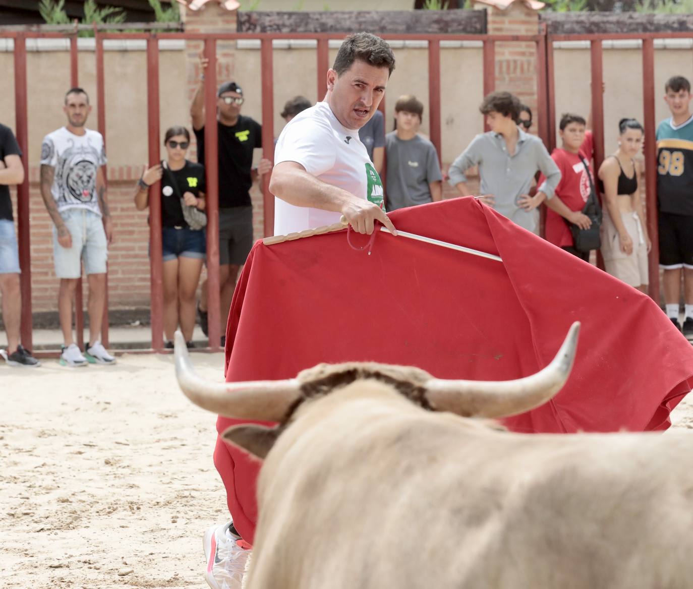 Encierro del 15 de agosto en las fiestas de Viana de Cega