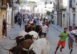 Encierro de esta mañana por las calles de Peñafiel