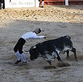 Javier Manso 'Balotelli' gana el concurso de cortes de Peñafiel