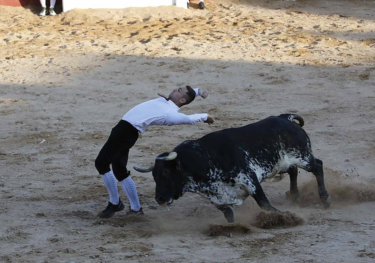 Javier Manso durante el concurso de cortes de Peñafiel.