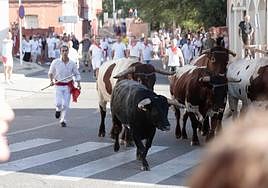 Encierro por las calles de Tudela celebrado el pasado miércoles.