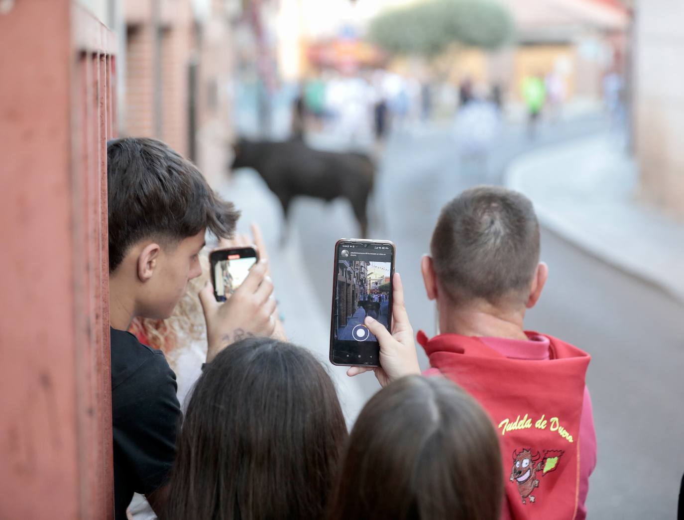 El encierro de este jueves en Tudela de Duero, en imágenes