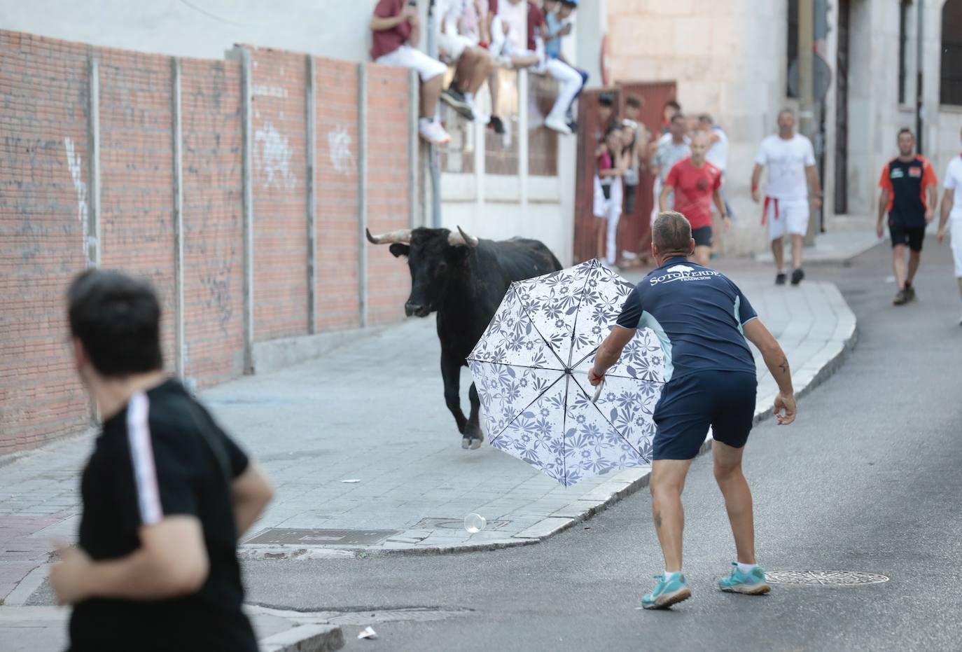 El encierro de este jueves en Tudela de Duero, en imágenes