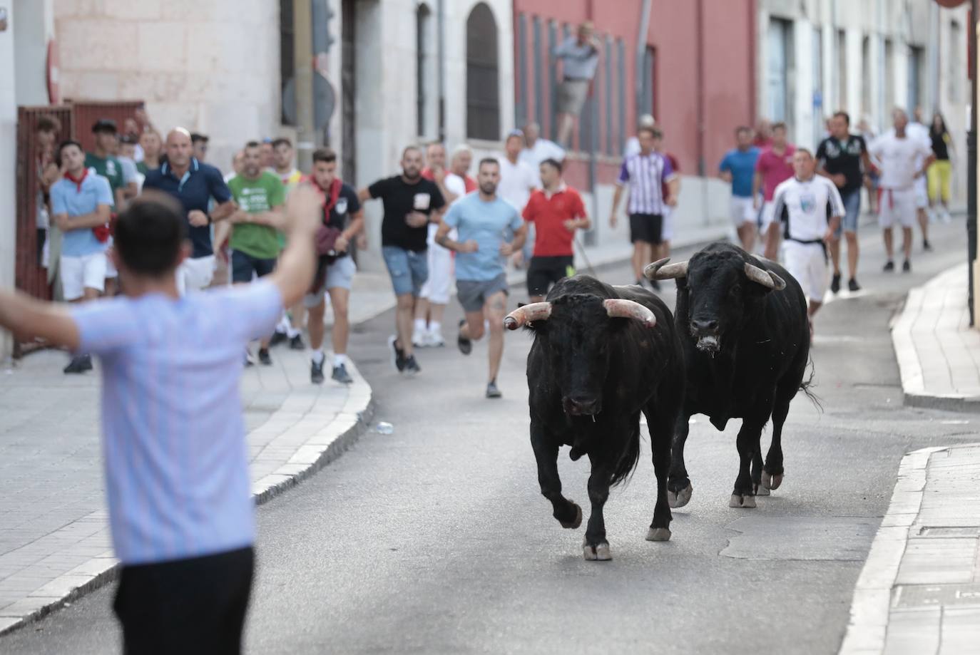 El encierro de este jueves en Tudela de Duero, en imágenes