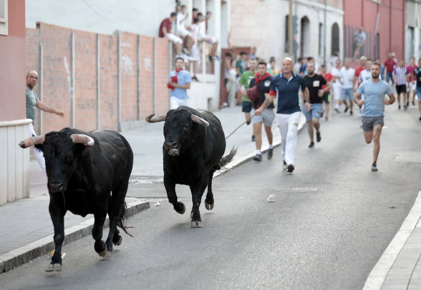 El encierro de este jueves en Tudela de Duero, en imágenes