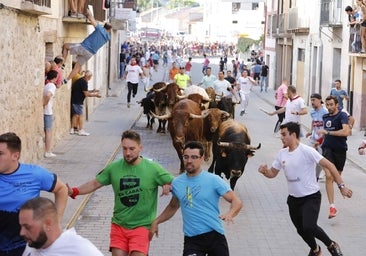 Encierro rápido y capea entretenida en Peñafiel