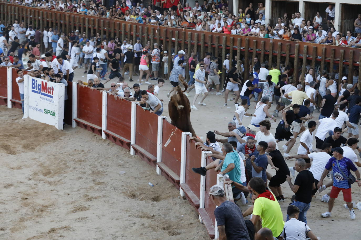 Los dos momentos de tensión vividos en la capea de las fiestas de Peñafiel