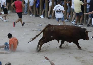 Los dos momentos de tensión vividos en la capea del miércoles