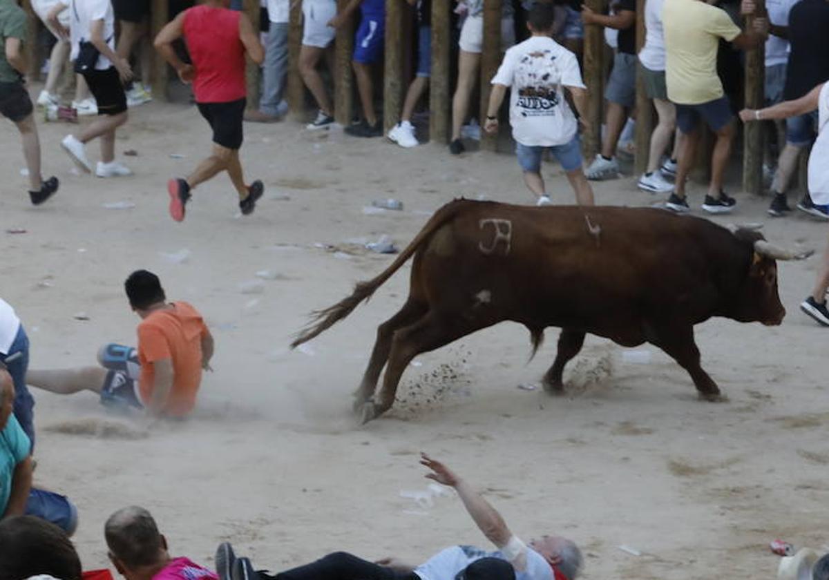 Los dos momentos de tensión vividos en la capea de las fiestas de Peñafiel