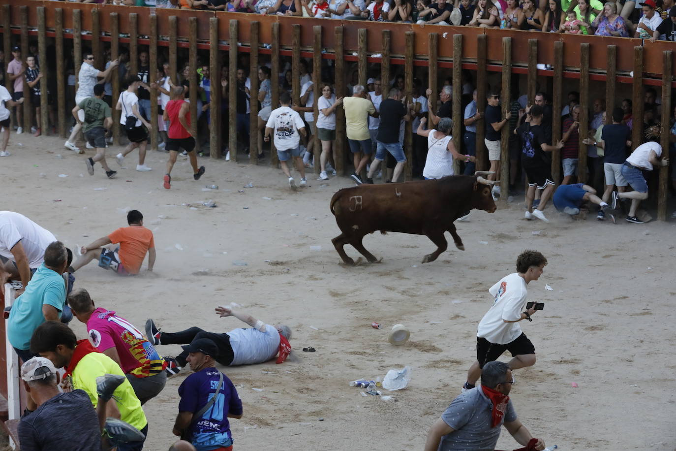 Los dos momentos de tensión vividos en la capea de las fiestas de Peñafiel