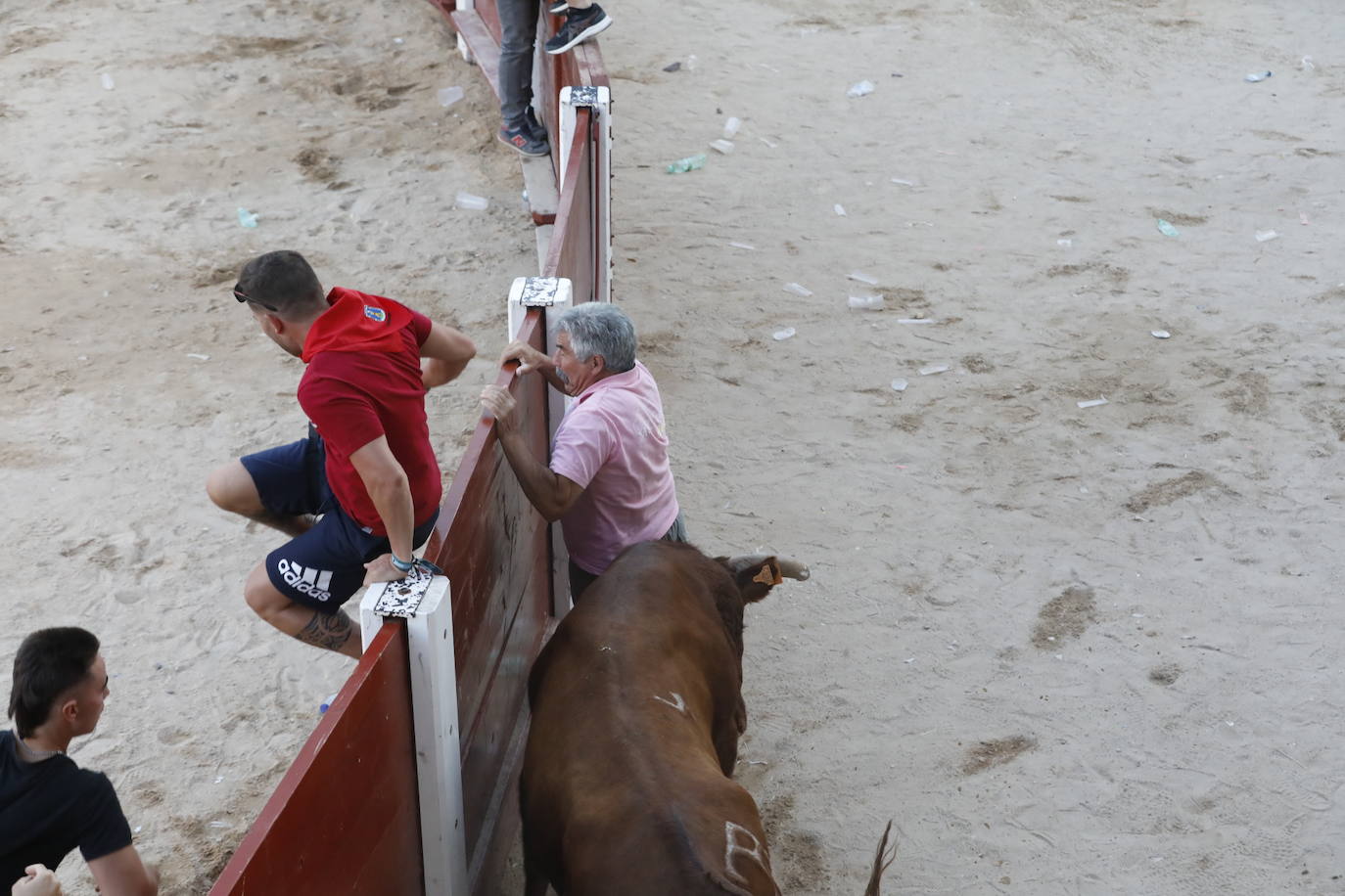 Los dos momentos de tensión vividos en la capea de las fiestas de Peñafiel