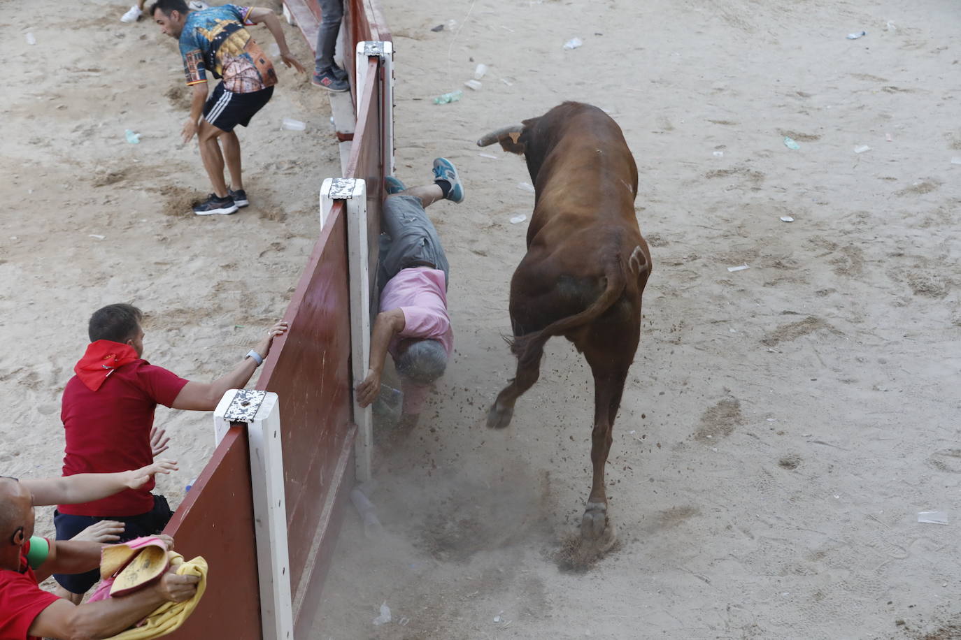 Los dos momentos de tensión vividos en la capea de las fiestas de Peñafiel