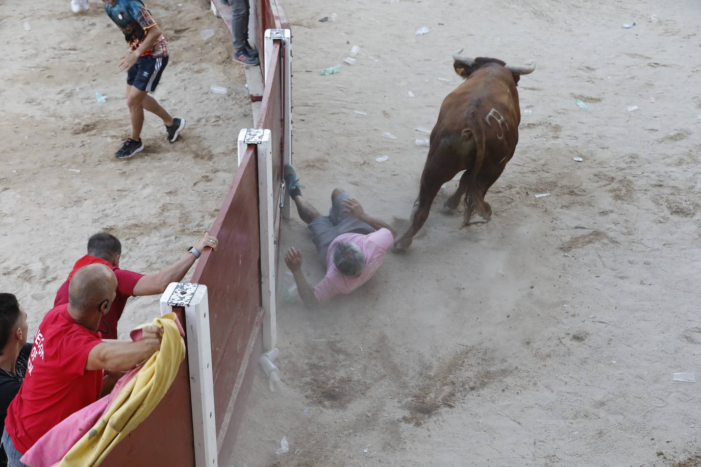 Los dos momentos de tensión vividos en la capea de las fiestas de Peñafiel