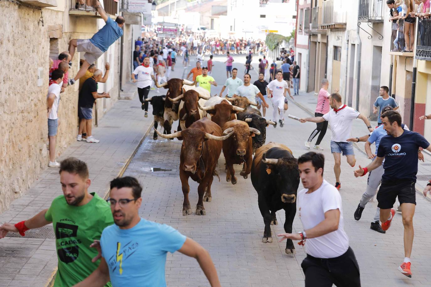 Encierro y capea del jueves en Peñafiel