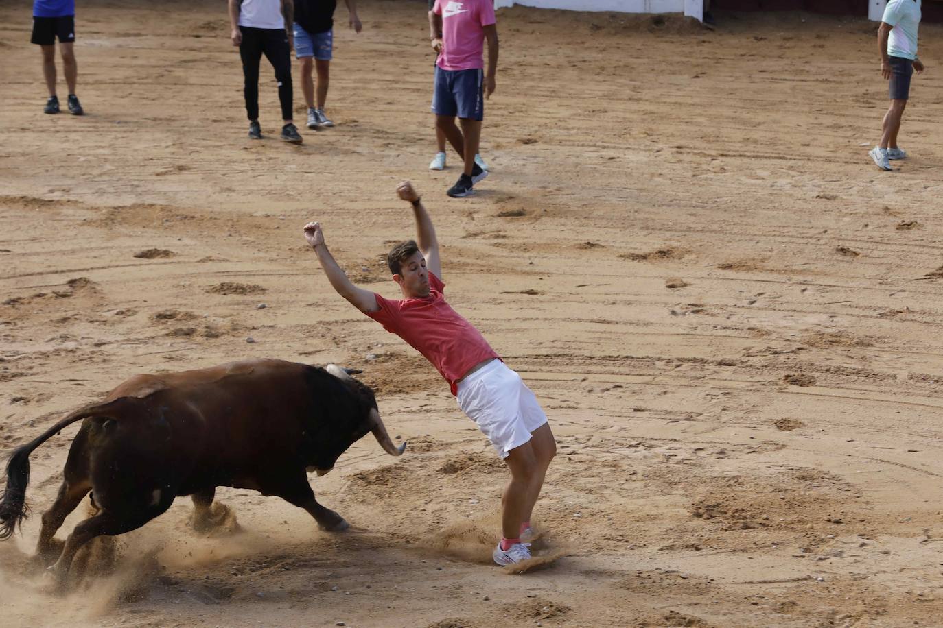 Encierro y capea del jueves en Peñafiel