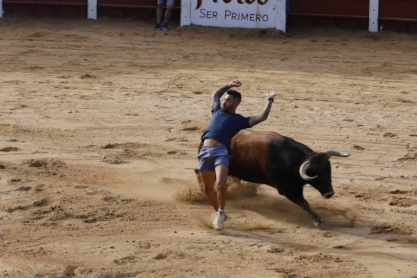 Encierro y capea del jueves en Peñafiel