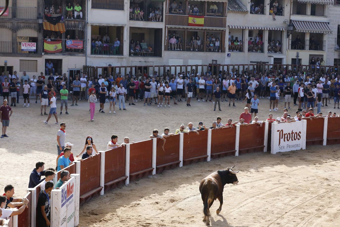 Encierro y capea del jueves en Peñafiel