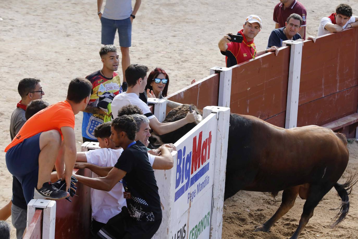 Encierro y capea del jueves en Peñafiel