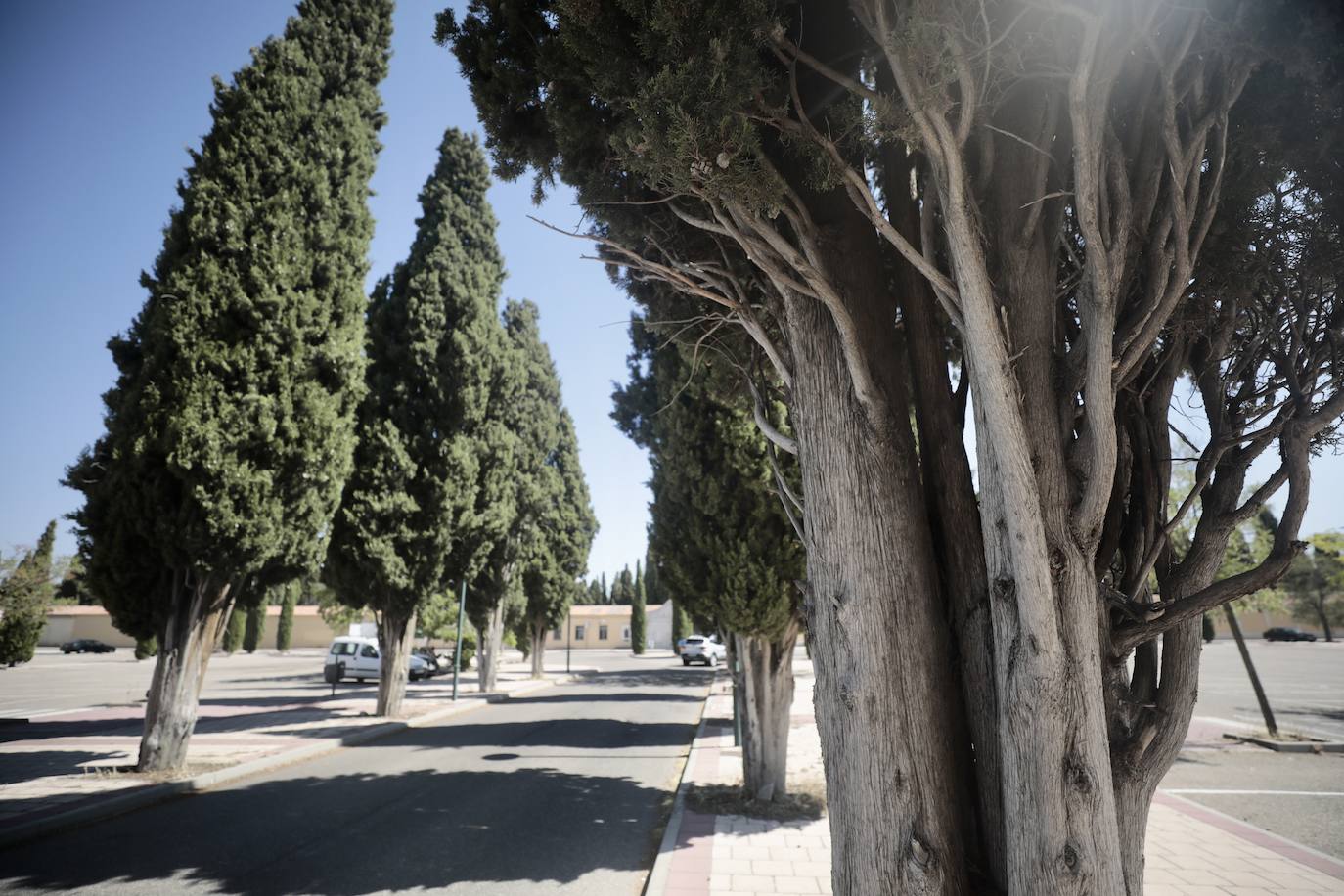 El Camino del Cementerio, en imágenes