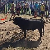 El vallisoletano Ramón Fernández 'Padilla', corneado en el encierro campero de Venialbo