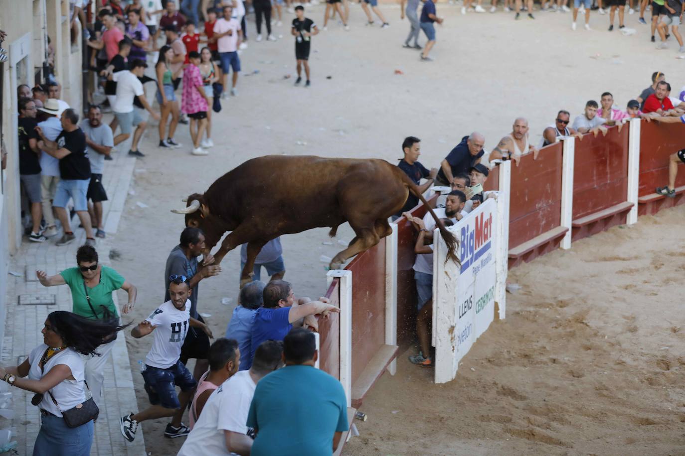 La capea de este jueves en Peñafiel, en imágenes