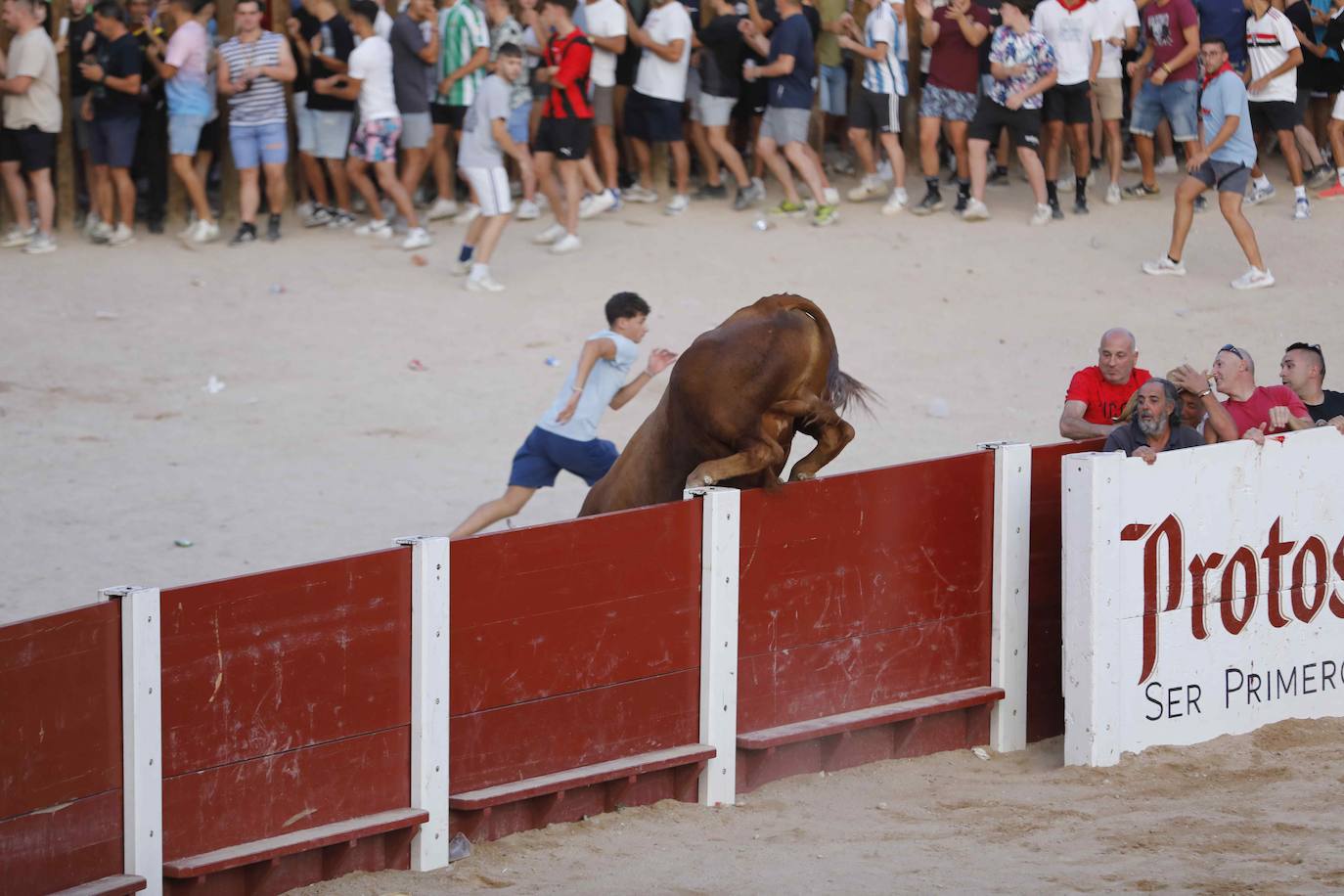 La capea de este jueves en Peñafiel, en imágenes