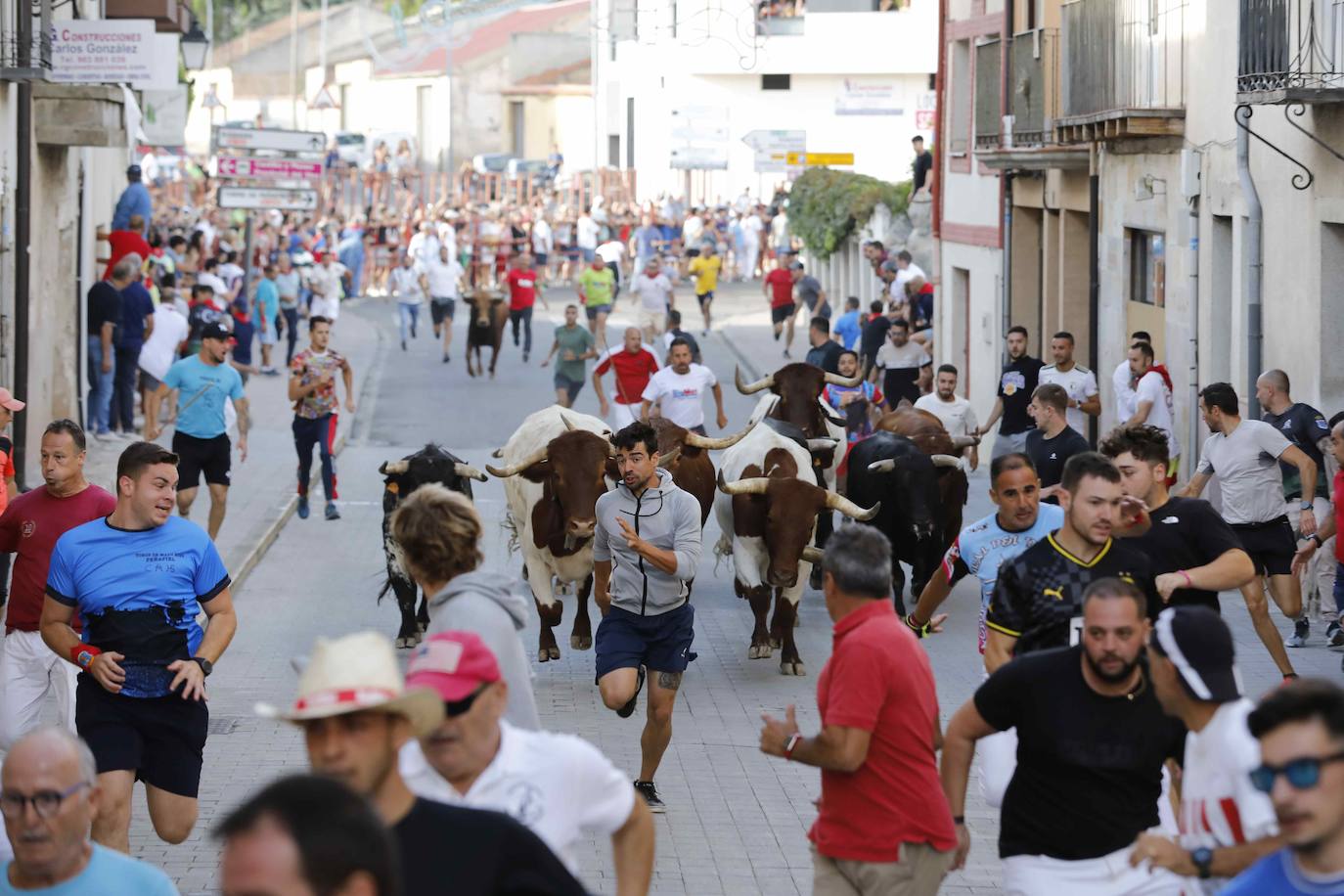 En imágenes, el encierro y el susto en la capea de Peñafiel