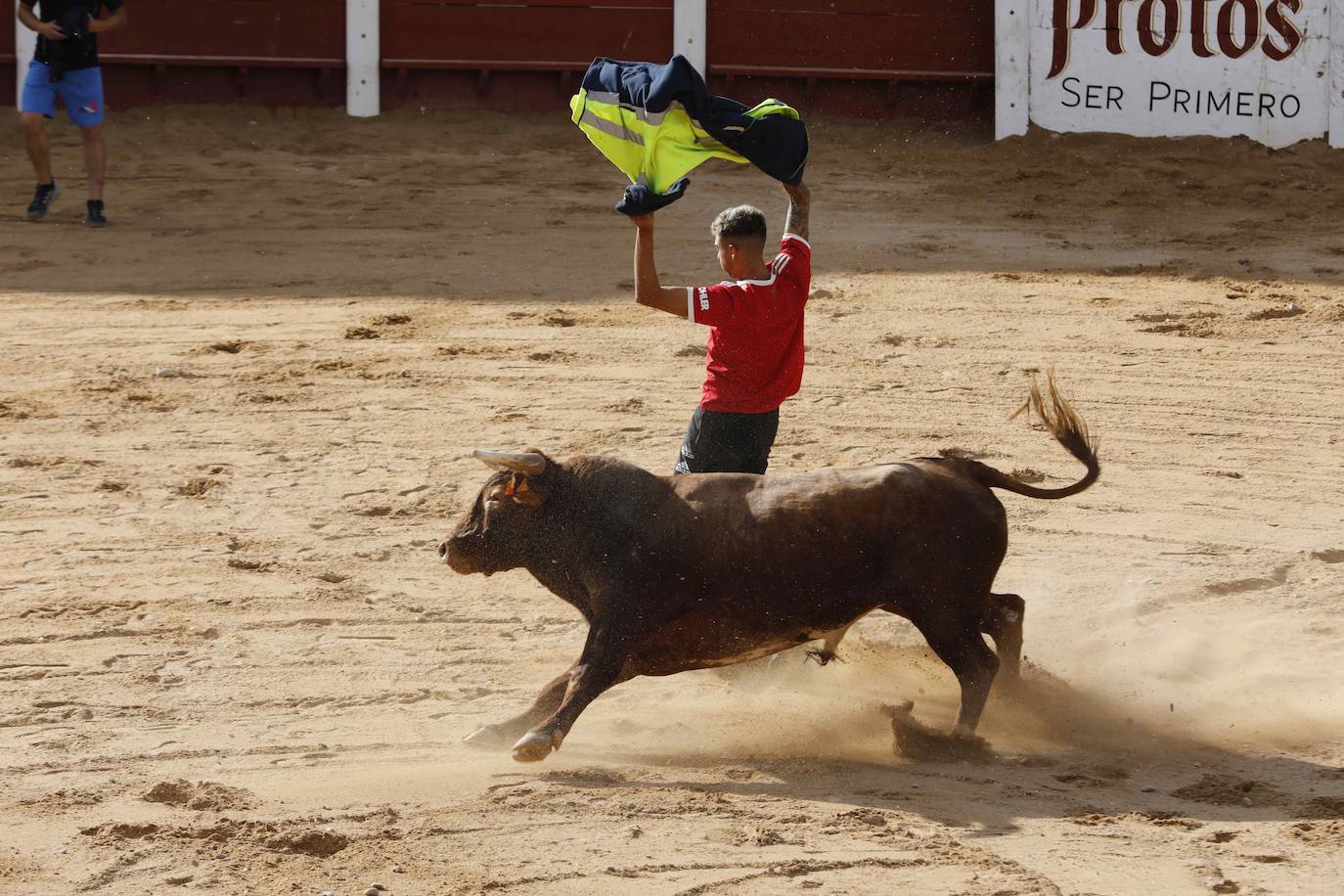 En imágenes, el encierro y el susto en la capea de Peñafiel