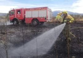 Agentes medioambientales y bomberos de Segovia sofocan el incendio de este viernes en Hontoria.