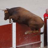 Segundos de enorme tensión en la capea de Peñafiel de este viernes