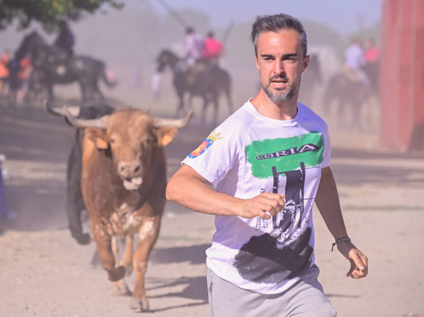 Encierro taurino en las fiestas de Aldeamayor (Valladolid) durante este domingo