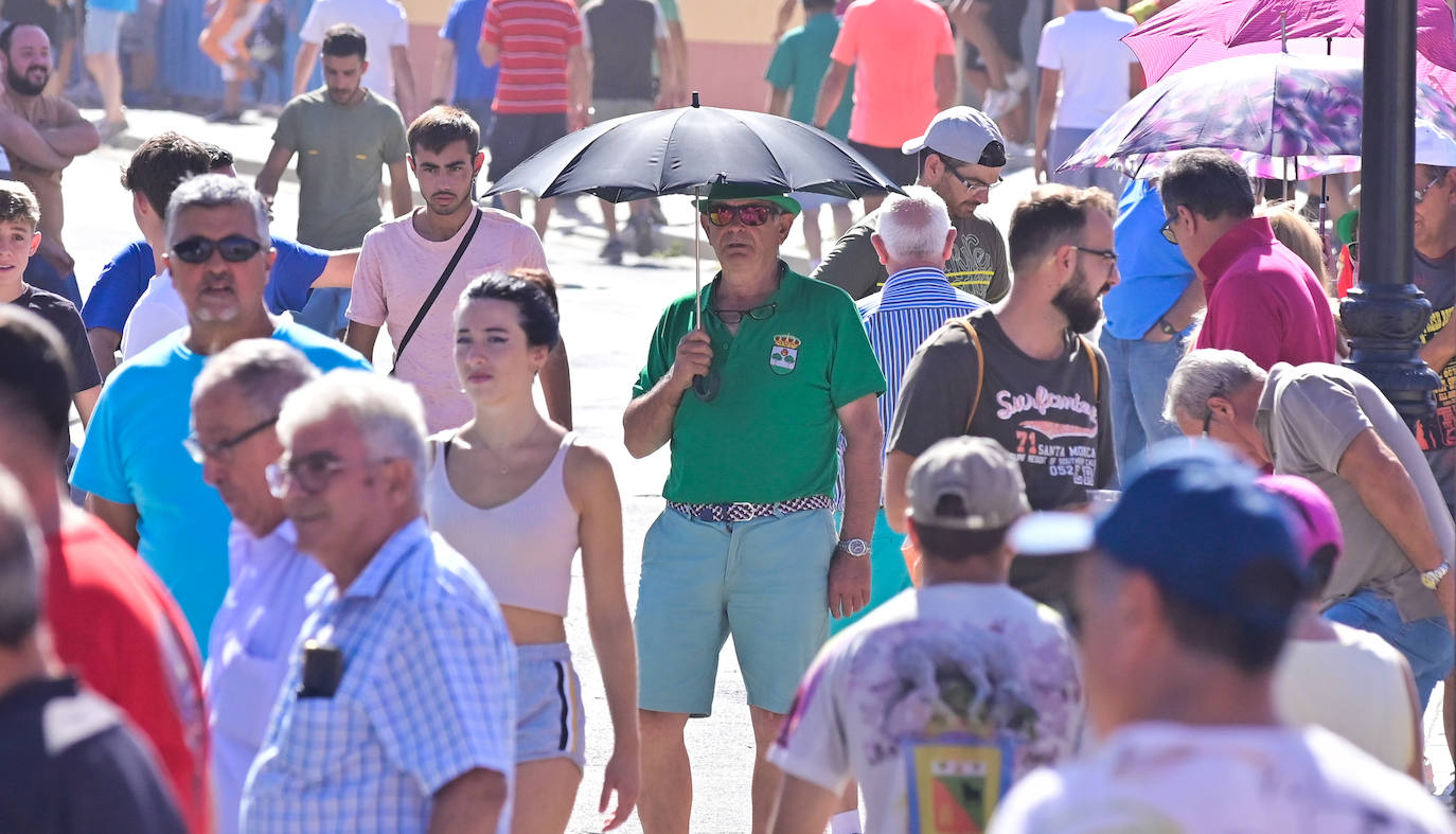 Encierro taurino en las fiestas de Aldeamayor (Valladolid) durante este domingo