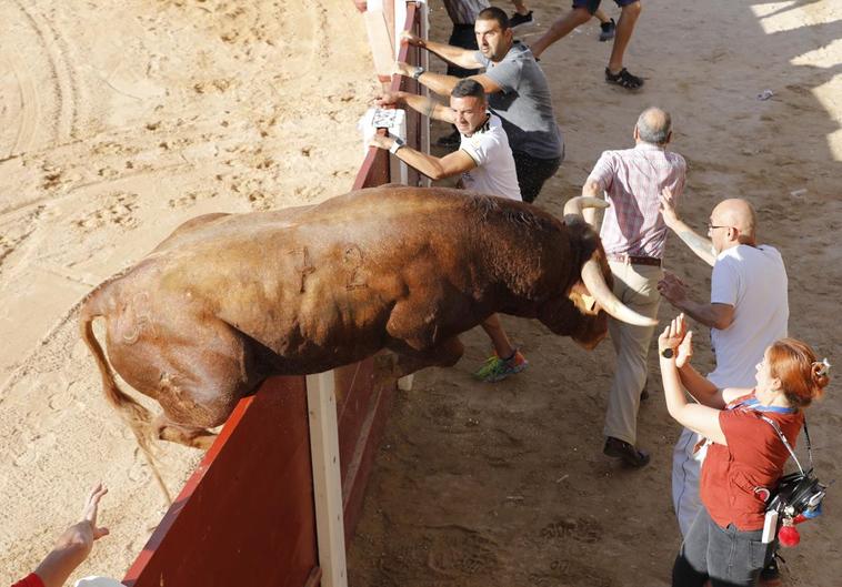 La mujer sobre la que se abalanzó un astado en Peñafiel: «No era mi día»