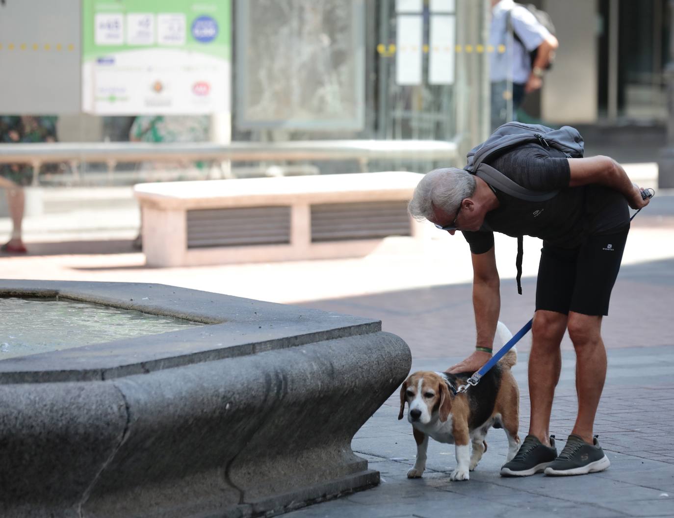 Comienza lo más duro de la ola de calor en Valladolid