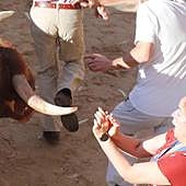 La mujer que se encontró frente a un toro en Peñafiel: «Fue pura adrenalina»