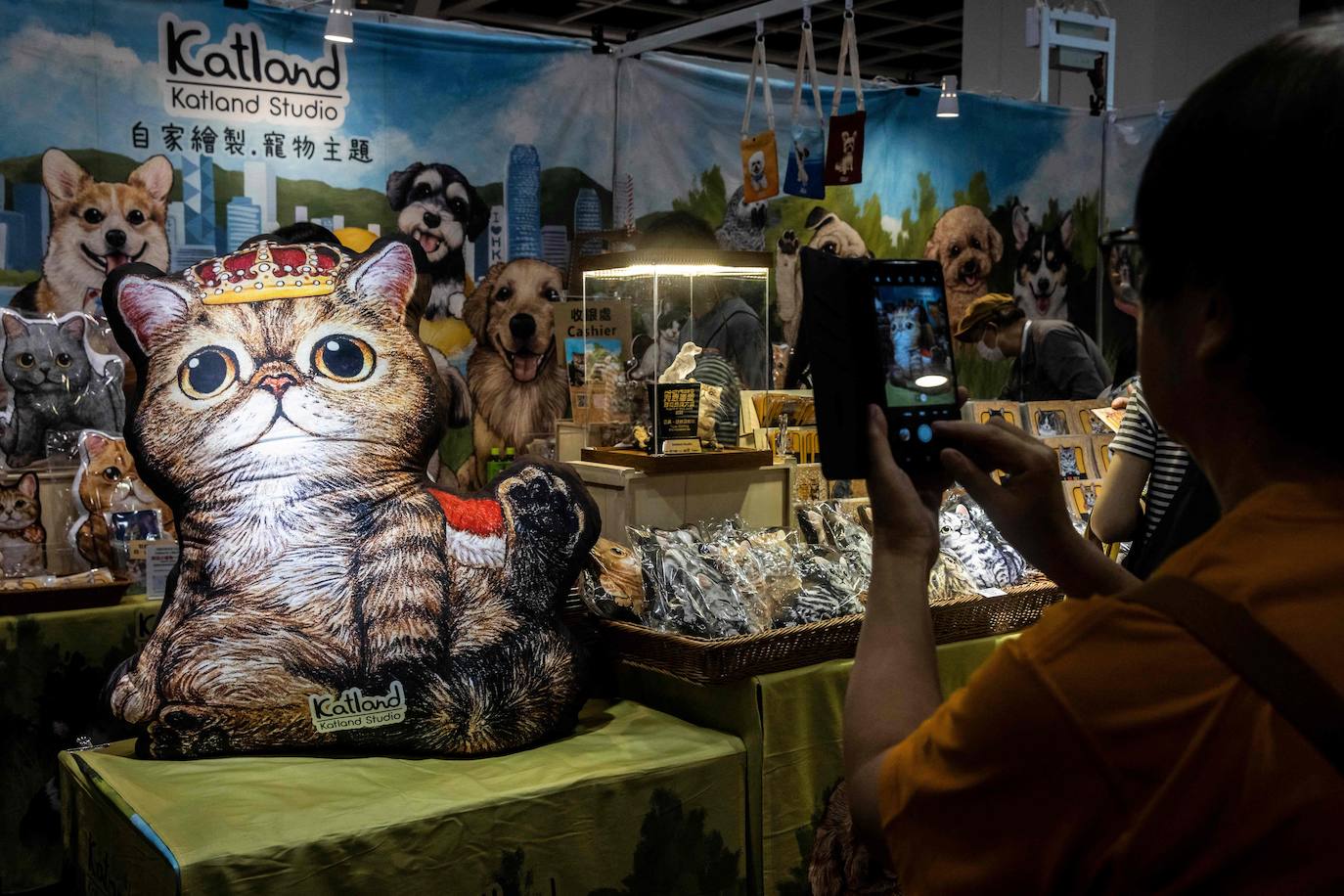 Los gatos, protagonistas de una exposición en Hong Kong