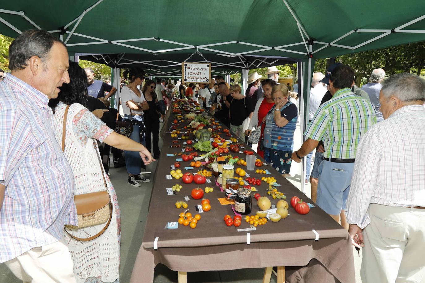 La Feria del Tomate de Tudela, en imágenes