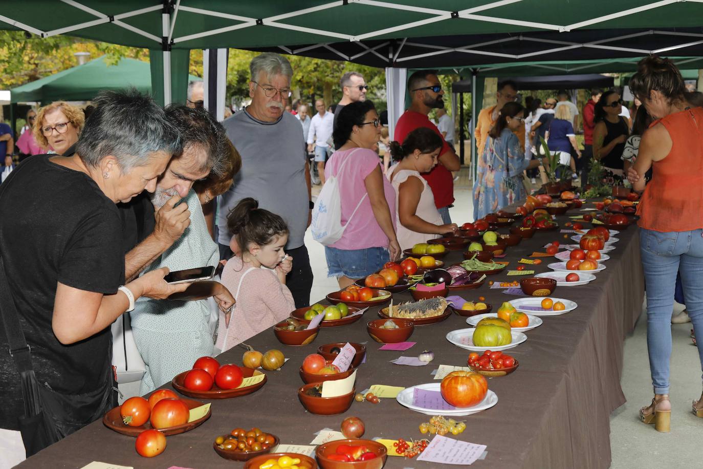 La Feria del Tomate de Tudela, en imágenes