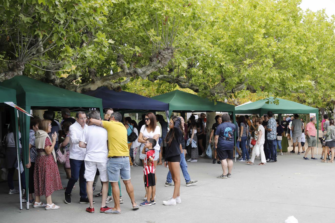 La Feria del Tomate de Tudela, en imágenes