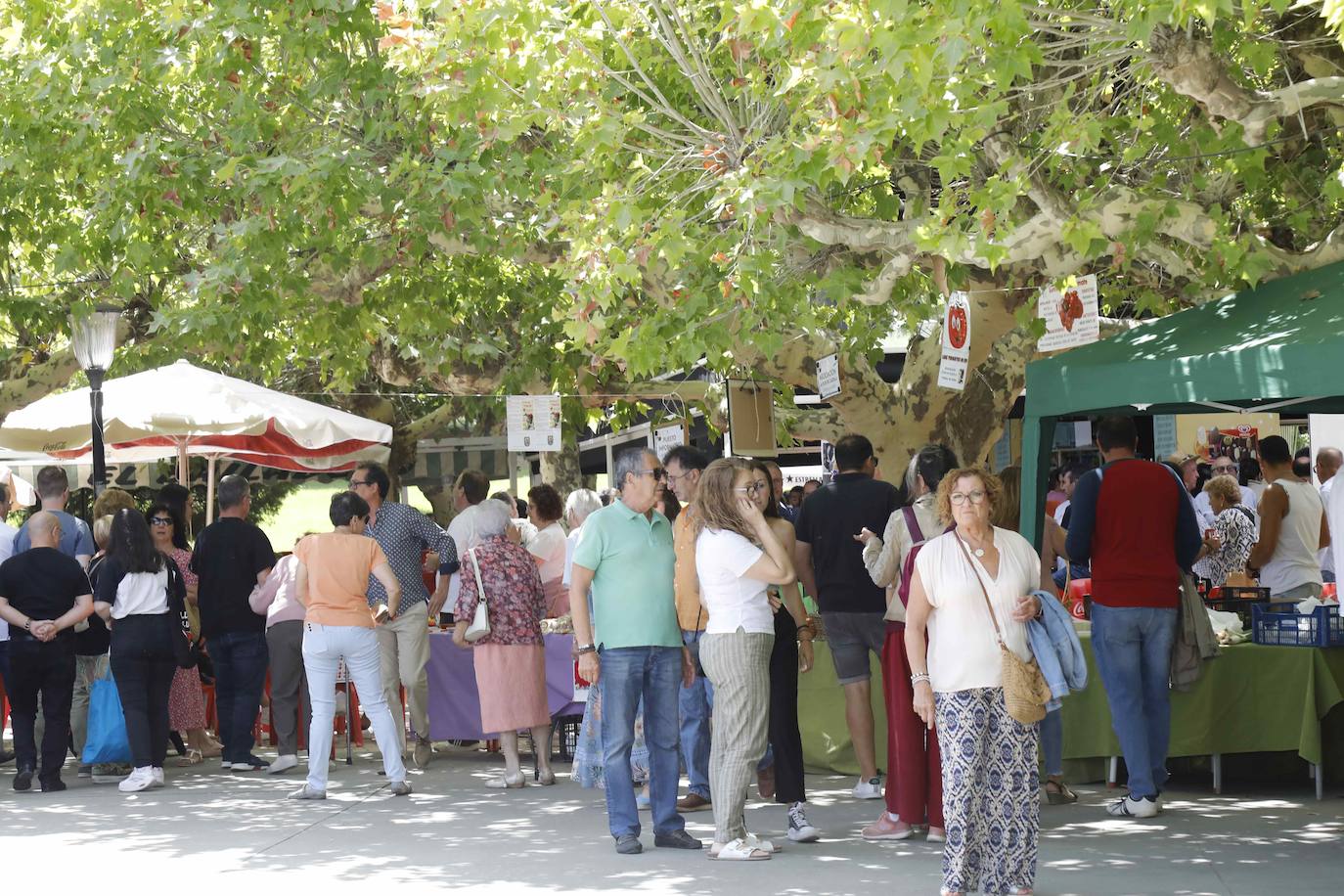 La Feria del Tomate de Tudela, en imágenes