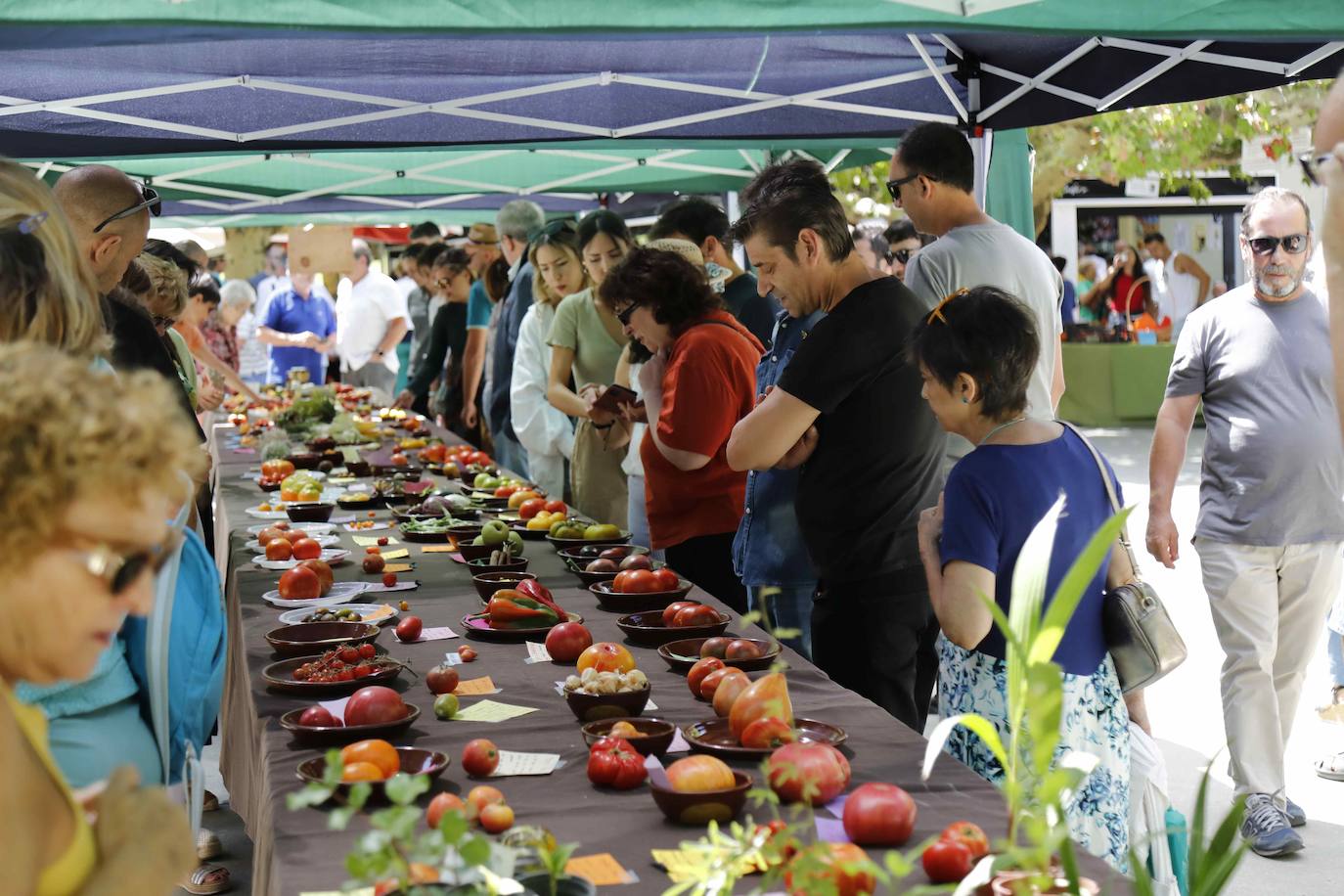 La Feria del Tomate de Tudela, en imágenes