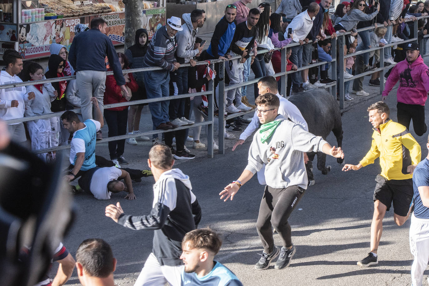 El segundo encierro de las fiestas de Cuéllar, en imágenes (2/2)