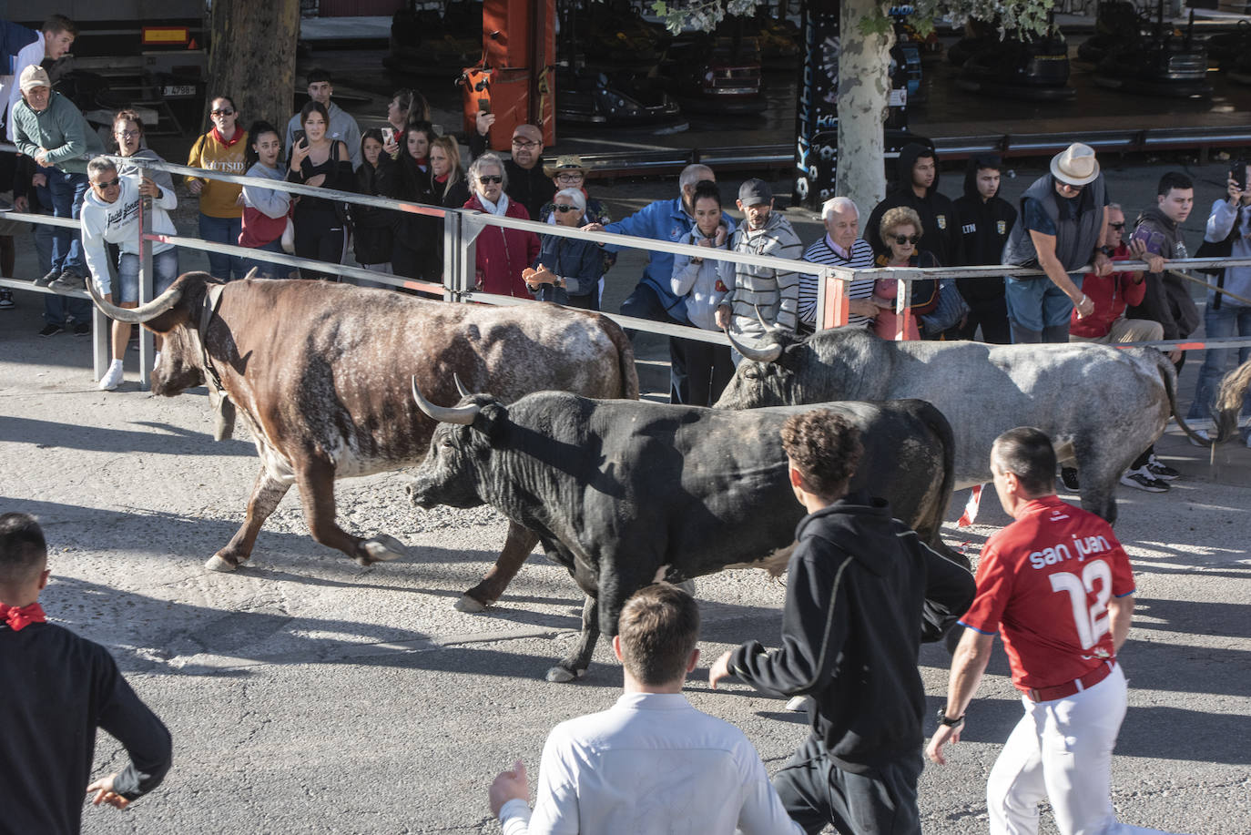 El segundo encierro de las fiestas de Cuéllar, en imágenes (2/2)