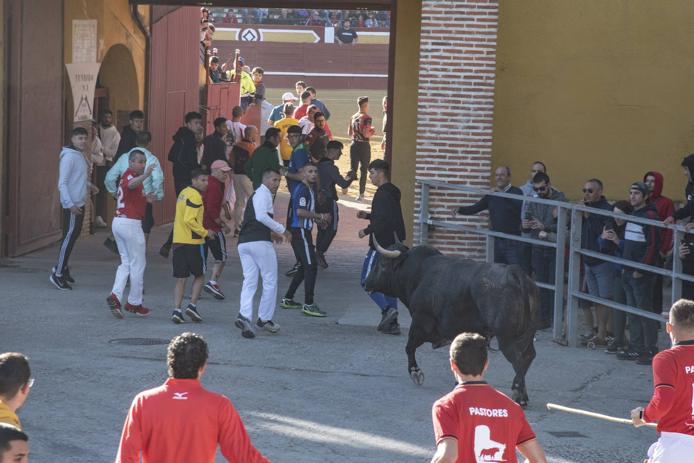 El segundo encierro de las fiestas de Cuéllar, en imágenes (2/2)