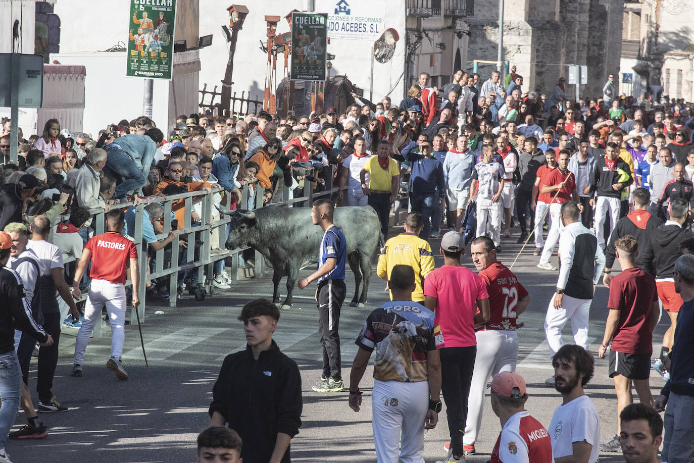 El segundo encierro de las fiestas de Cuéllar, en imágenes (2/2)