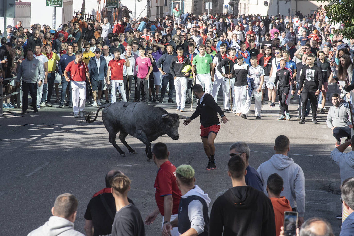 El segundo encierro de las fiestas de Cuéllar, en imágenes (2/2)