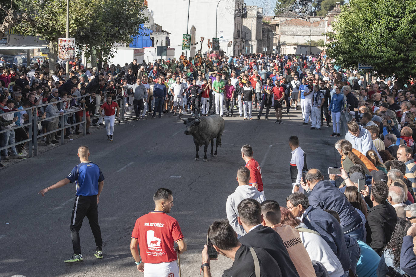 El segundo encierro de las fiestas de Cuéllar, en imágenes (2/2)