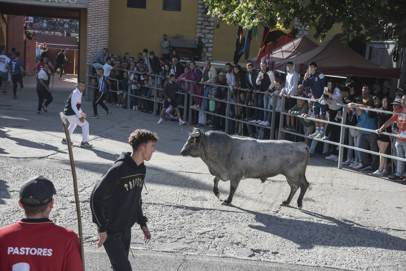 El segundo encierro de las fiestas de Cuéllar, en imágenes (2/2)